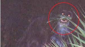 Telah mengabarkan kepada kita tentang mereka dalam. 14 Penampakan Foto Paling Misterius Ada Malaikat Pencabut Nyawa