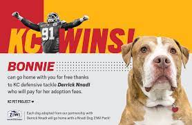 We thank you for your patience as we continue to adapt our policies. Kc Pet Project Kansas City Wins Bonnie Has Been Facebook