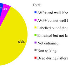 Juxtacellular Recording Labeling Census Cell Per Rat Pie