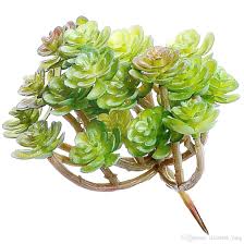 We select our cactus for sale from our succulent market is the ultimate succulent store and is ready to provide cactus and succulent delivery in the most. 2021 Hot Sale Fake Succulents Large Artificial Succulents And Cacti Plants Ornaments For Plants Wall Decoration Diy Materials Wholesale From Elizabeth Yang 3 22 Dhgate Com