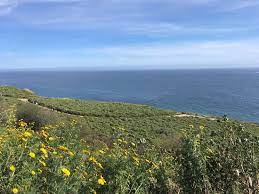 Please remember that a reservation is a promise. Beautiful Hiking Trail Review Of Ocean Trails Reserve Rancho Palos Verdes Ca Tripadvisor