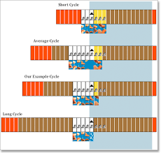 The Ovulation Method Family