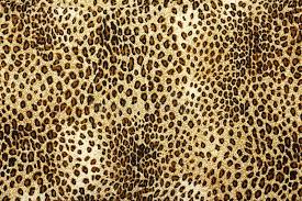 We did not find results for: 10 613 Leopard Print Photos Free Royalty Free Stock Photos From Dreamstime