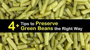 Serve vegetables and meat with a slotted spoon; 4 Tips To Preserve Green Beans The Right Way