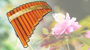 Flute De Pan Best Of Frantz Amathy Fleurs Et Oiseaux Musique Zen Douce Relaxation Youtube En 2020 Flute De Pan Musique Zen Flute