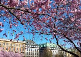 Maybe you would like to learn more about one of these? Things To Do In Stockholm For One Day Journication