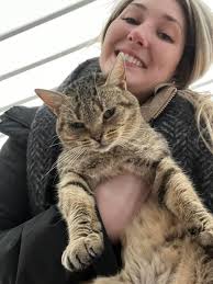 This kitten is looking for her home! She came to my parents located off PM  hwy