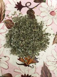 Knowing the plant growing zones in florida is important because this will help you decide which plants you should have in your garden. Growing Marshmallow For Its Soothing And Healing Properties Willowhavenoutdoor Survival Skills