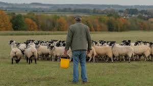Audiences and critics praised the series as we watched clarkson and his misfit crew of farming associates tackle difficult agricultural obstacles. Jeremy Clarkson Reveals Heartache Filming Farming Tv Series Bbc News