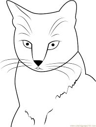 When the online coloring page has loaded, select a color and start clicking on the picture to color it in. American Shorthair Coloring Page For Kids Free Cat Printable Coloring Pages Online For Kids Coloringpages101 Com Coloring Pages For Kids