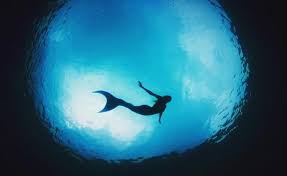 Image result for real mermaid