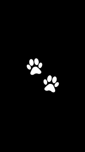 Unless the glyph or camera logo will appear in a list of other social media logos, a clear call to action (e.g. 200 Instagram Story Highlights Icons Covers Black And Etsy Black And White Instagram Instagram White Instagram Icons