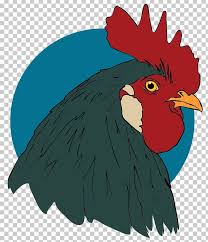 Please pause the how to draw a rooster (cartoon) video after each step to draw at your own pace. Rooster Drawing Turkey Animation Png Clipart Animation Art Beak Bird Cartoon Free Png Download