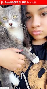 Lost Cat in 78617 Area