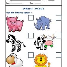 Worksheet Of Domestic Animals 01 Domestic Animals Animals Science Animal Worksheets Animal Science Science Worksheets