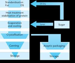 Condensed Milk Dairy Processing Handbook