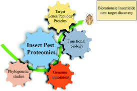 Description:chris campbell, sole stockholder and company president, is a third generation pest control operator and second generation business owner. Insect Pest Proteomics And Its Potential Application In Pest Control Management Springerlink