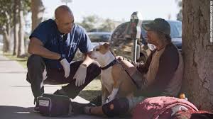 American pet hospital is one of the few pet hospitals in las vegas that uses laser surgery. Meet The Veterinarian Walking Around The Streets Of California And Treating Homeless Peoples Animals For Free Cnn