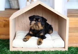 18 Super Cute Outdoor Dog House Ideas That Your Pet Will Absolutely Adore In 2020 Outdoor Dog House Dog House Dog House Diy