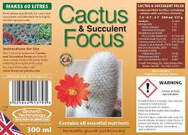 Kitchens and bathrooms are good. Cactus And Succulent Focus 300ml Amazon De Garten