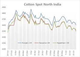 Downward Trend Pushes Cotton Price To 6 Week Low In North