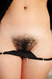 Vulvas peludas - ZB Porn