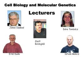 See more of boldogkői zsolt on facebook. Ppt Department Of Medical Biology Powerpoint Presentation Free Download Id 3339615