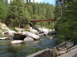 Maybe you would like to learn more about one of these? Calaveras Big Trees At The River Tree Camping Big Tree Beautiful Places