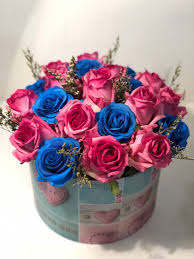 ورد ازرق غامق اجمل الزهور الزرقاء حنان خجولة