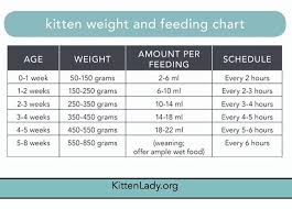 Combining a diet of wet and dry food can be good for your cat. Kitten Feeding Chart Feeding Kittens Kitten Care Kitten