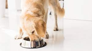 Fda Expands Recall On Dry Pet Food After 110 Deaths In Dogs