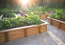 Bac En Bois Pour Le Jardinage Bac De Jardinage Jardinage Bac En Bois