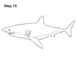 Check spelling or type a new query. Easy To Draw Great White Shark Novocom Top
