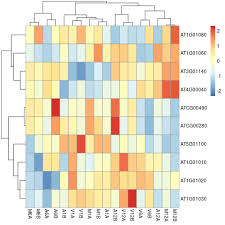 Image result for bioinformatics heatmap