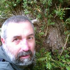 fernando almansa (@FernandoAlmansa)