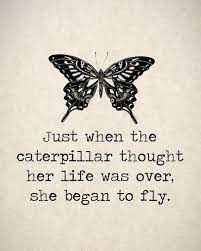 Great news!!!you're in the right place for catapillar. 137 Exclusive Butterfly Quotes For Beautiful Change Bayart