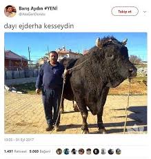 Anlamli Dusundurucu Eglenceli Guzel Komik Konusan Resimler Konusan Resimler Www Kizlarinsirlari Club Komik Komik Seyler Komik Tumblr