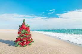 Maybe you would like to learn more about one of these? Christmas Tree On The Sea Beach Christmas Vacation Concept Stock Image Image Of Landscape Egipt 35363625