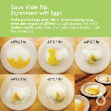 Cook The Perfect Sous Vide Egg Every Time Perfect Eggs