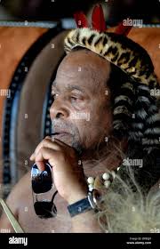 Zulu king hi-res stock photography and images