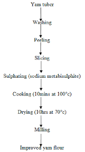 flowchart for the production of yam flour 18 download