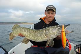 Användningsexempel för gadd på engelska. Gaddfiske Del1 2012 Rikardjonsson Se