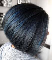 The colour reminds the deep sea or dark sky in this black hair with blue highlights is exactly what you need to create a glam look. 21 Sumptuous Blue Hair Highlights For Women Hairstylecamp