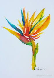 Watercolor Bird Of Paradise Painting Brigette Adell Parzych Bird Of Paradise Paradise Painting Birds Of Paradise Flower Watercolor Flowers