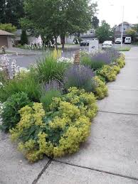 Margiebutts Zip Front Garden Design Rock Garden Landscaping Front Yard Landscaping