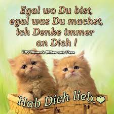 Im nächsten fenster informiert dich whatsapp, dass alle deine chats und kontakte übernommen werden, wenn. á Ich Hab Dich Lieb Bilder Ich Hab Dich Lieb Gb Pics Gbpicsonline