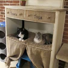 11 Awesome Diy Cat Furniture Ideas Diy Cat Tower Cat Furniture Diy Cat Furniture Design