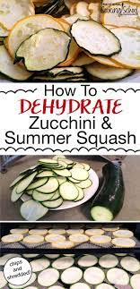 I use a funnel to fill them and remove the air with my foodsaver. How To Dehydrate Zucchini Summer Squash