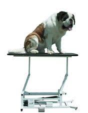Page Not Found Petfood Warehouse Big Dogs Dogs Pet Grooming