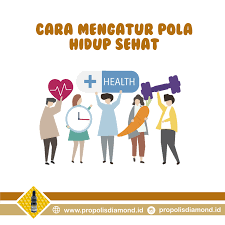 Contoh soal budaya hidup sehat. 29 Daftar Populer Gambar Poster Hidup Sehat Terkini Postercov